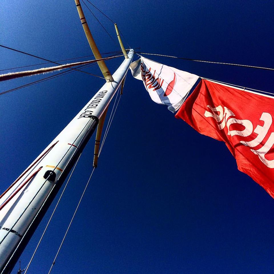 13522028 1212985842075591 1998283415681930456 n